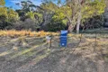Property photo of 14 Crosby Street Cornwall TAS 7215