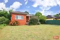 Property photo of 41 Barangaroo Road Toongabbie NSW 2146
