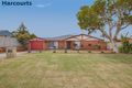 Property photo of 3 Tipuana Place Edgewater WA 6027