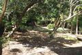 Property photo of 18 Parakeet Crescent Peregian Beach QLD 4573