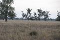 Property photo of 3173B Wambianna Road Warren NSW 2824