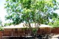 Property photo of 29 Donatello Street Fig Tree Pocket QLD 4069