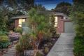 Property photo of 50 Andrew Crescent Croydon South VIC 3136