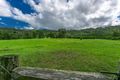 Property photo of 234 Dingo Lane Myocum NSW 2481