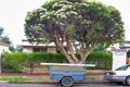 Property photo of 50 Lynch Street Footscray VIC 3011