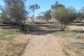 Property photo of 169 Pfeiffer Road Mannum SA 5238