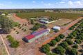 Property photo of 374 Stringer Road Merungle Hill NSW 2705