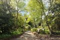 Property photo of 59 One Tree Hill Road Ferny Creek VIC 3786
