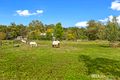 Property photo of 2531 Warburton Highway Yarra Junction VIC 3797