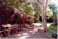 Property photo of 100 Curlewis Street Bondi Beach NSW 2026