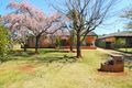 Property photo of 20 Marne Street Guyra NSW 2365