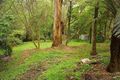 Property photo of 36 Monbulk Road Belgrave VIC 3160