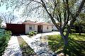 Property photo of 11 Murdoch Avenue North Plympton SA 5037