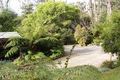 Property photo of 40 Bellbird Crescent Emerald VIC 3782