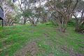 Property photo of 16 Barkala Street Rye VIC 3941