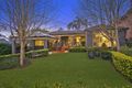 Property photo of 31 Haigh Avenue Belrose NSW 2085