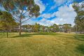 Property photo of 41 Grant Avenue Gilles Plains SA 5086