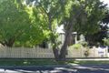 Property photo of 9 Frank Street Frankston VIC 3199