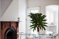 Property photo of 21 Iris Street Paddington NSW 2021