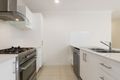Property photo of 47 Willow Circuit Yarrabilba QLD 4207