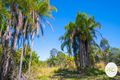 Property photo of 15 Maroolingar Road Captain Creek QLD 4677