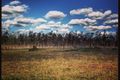 Property photo of 22 Miles Court Harrisville QLD 4307
