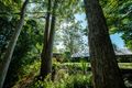 Property photo of 31 Scotchman Road Bellingen NSW 2454