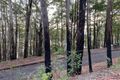 Property photo of 28 New Forster Road Smiths Lake NSW 2428
