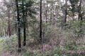 Property photo of 28 New Forster Road Smiths Lake NSW 2428