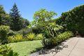 Property photo of 45 Robert Street Freshwater NSW 2096
