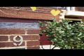 Property photo of 19 Hedges Avenue Traralgon VIC 3844