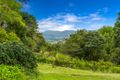 Property photo of 1275 Lismore Road Clunes NSW 2480