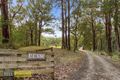 Property photo of 70 Warwick Road Gembrook VIC 3783