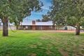 Property photo of 3648 Benetook Avenue Irymple VIC 3498