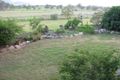 Property photo of 10104 Isis Highway Biggenden QLD 4621