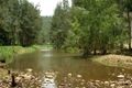 Property photo of 477 Tallebudgera Creek Road Tallebudgera Valley QLD 4228