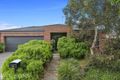 Property photo of 15 Macfarlane Street Marshall VIC 3216