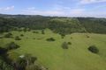 Property photo of 482 Terania Creek Road Terania Creek NSW 2480