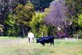 Property photo of 195 Macintoshs Road Boolarra VIC 3870