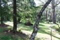 Property photo of 3217 Bells Line Of Road Bilpin NSW 2758