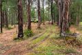 Property photo of 84 Warwick Road Gembrook VIC 3783
