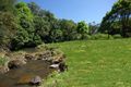 Property photo of 228 Friday Hut Road Possum Creek NSW 2479