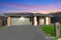 Property photo of 12 Tamarack Street Kalkallo VIC 3064