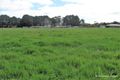 Property photo of 16 Ellis Road Coomoora VIC 3461