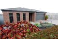Property photo of 53 Reserve Road Grovedale VIC 3216