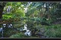 Property photo of 53 Tyalgum Street Mudgeeraba QLD 4213