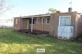 Property photo of 216 Madang Road Robinvale VIC 3549