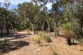 Property photo of 99 Glover Road Yallingup Siding WA 6282