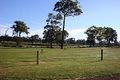 Property photo of 50 Valley Way Nannup WA 6275