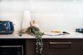 Property photo of 8 Pampa Road Box Hill NSW 2765